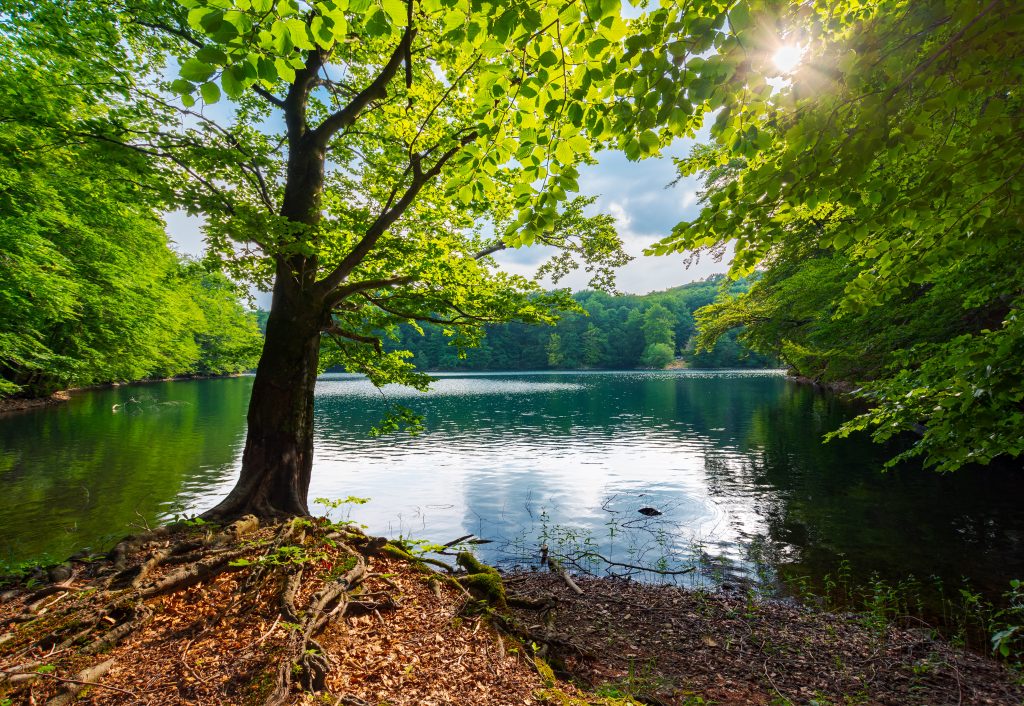 A park with a beautiful lake is one of the things to do in adairsville [Mykhaylo Pelin] (c) 123rf