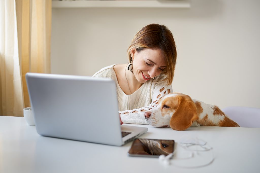 Milan Ilic (c) 123rf a woman in her home office extra bedroom space