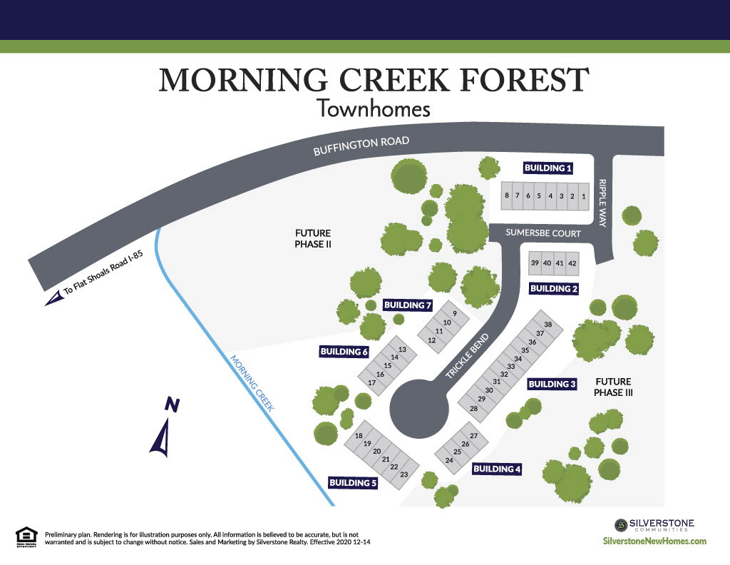Morning Creek Forest
